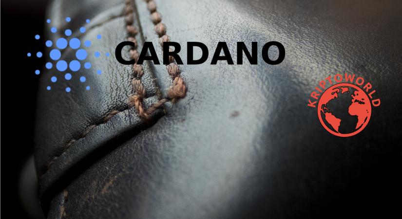 Félmillió Cardano fiók, és új Daedalus tárca