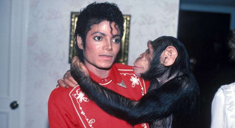 Michael Jackson csimpánza, Bubbles nem szereti, ha fotózzák