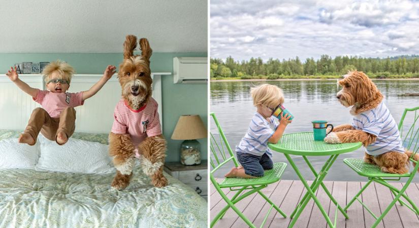 Cuki: a kisfiú testvéreként viselkedik ez a kutya – Galéria