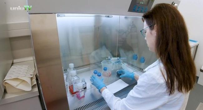 Magyar felfedezések szoríthatják vissza a koronavírus-járványt Európában