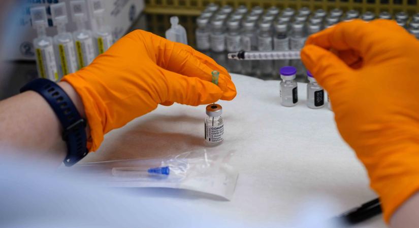81 százalékos hatékonysági mutatóval rendelkezik az új indiai koronavírus-vakcina