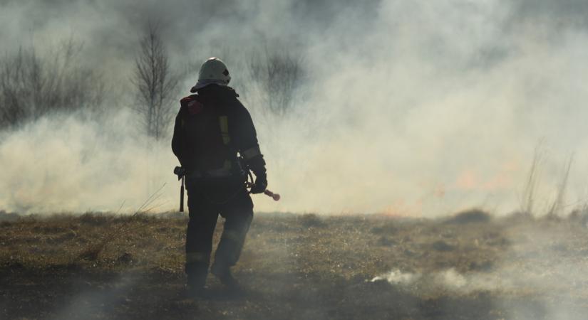 Több hektáron lángolt az aljnövényzet a megyében