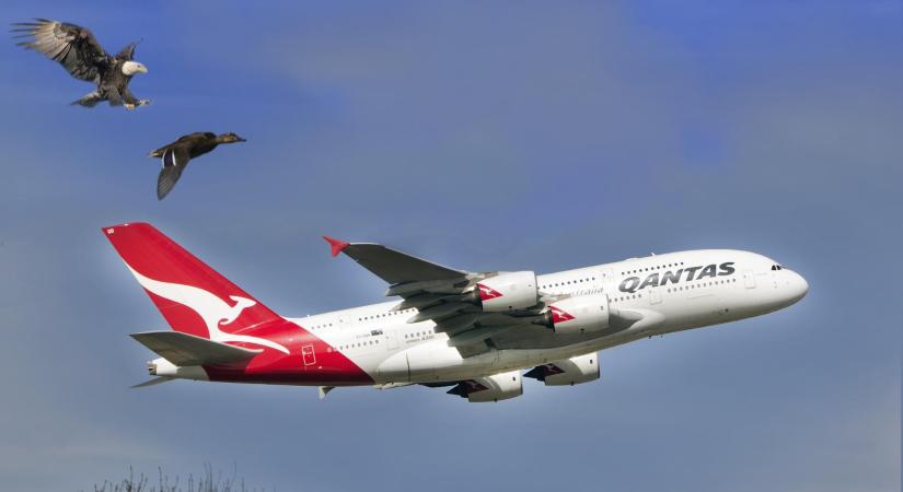 A Qantas három belföldi titkos járatot fog indítani