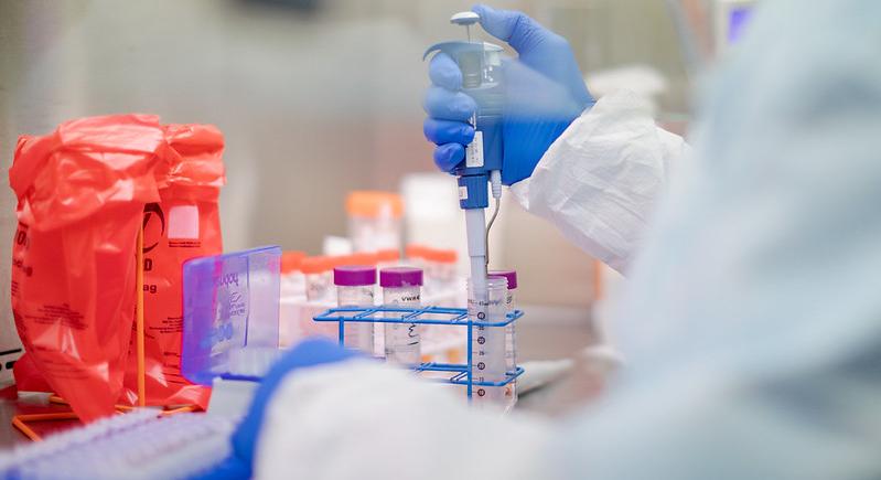 Egy csapat tudós szerint van rá esély, hogy a koronavírus laborból szabadult el – a WHO-tól független vizsgálatot akarnak