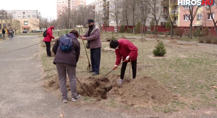 140 fát ültettek a Lánchíd utcai óvoda mögötti játszótérre