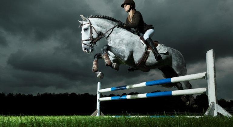 Agresszíven terjedő betegség fenyegeti a lovakat: a vakcina sem véd a fertőzés ellen