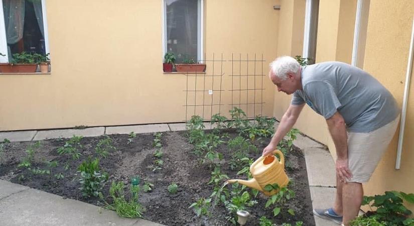 Herczeg Tamás: Nem állhatnak le a mezőgazdasági és a kerti munkák
