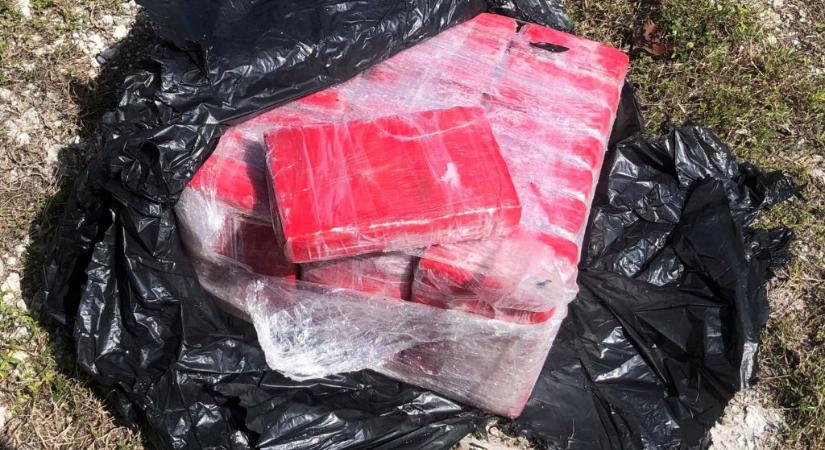 Másfélmillió dollárt érő kokaint talált egy sznorkelező