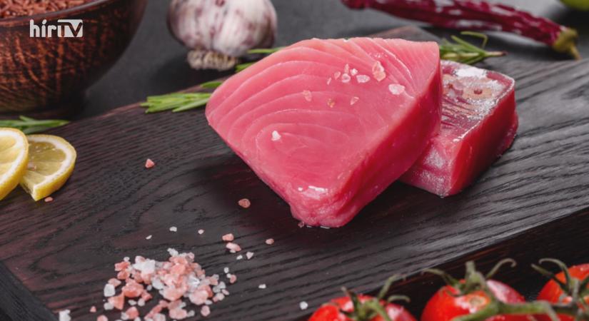 Panaszkönyv: A nagy tonhal-teszt!
