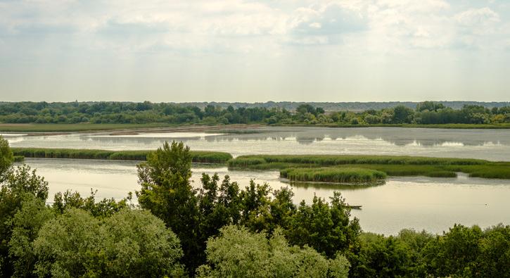 Hatalmas fejlesztés zajlik az algyői Tisza-parton: mutatjuk, mi épül