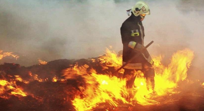 Több helyen is lángolt az aljnövényzet a megyében