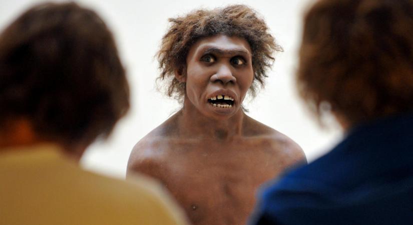 Először bizonyították, hogy a neandervölgyiek tudtak beszélni
