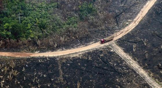 Egy kutatás szerint a trópusi esőerdők kétharmada már megszenvedte az emberi jelenlétet