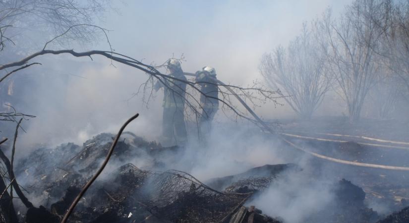 Több mint húsz hektáron égett a száraz növényzet Heves megyében