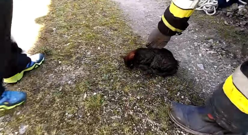 Így mentették meg a kehidakustányi Kormit a tűzoltók (videó)