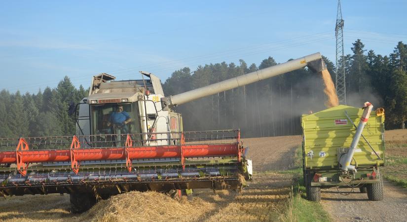 Rekord nagyságú gabonatermést jósolnak Ukrajnában
