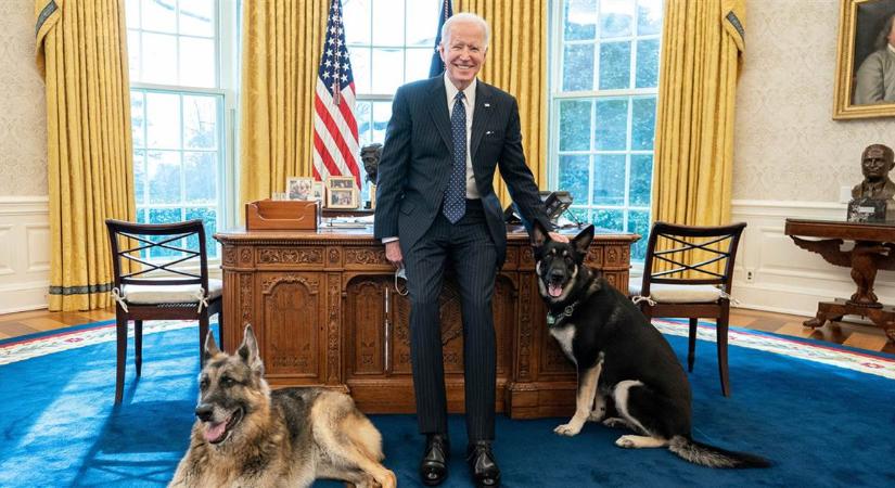 Biden kutyáit kiköltöztették a Fehér Házból