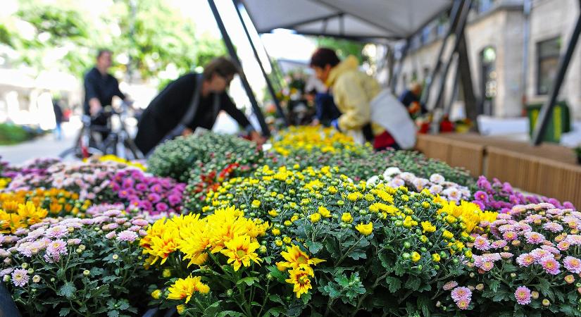 A piacokon továbbra is nyitva lehetnek a virágárusok