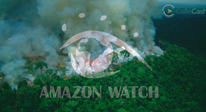 Elutasították az amazonasi erdőtűz megállítására küldött Bitcoin adományt