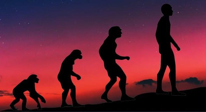 Evolúciós előnyhöz segítette kiálló orra az ősembert a majmokkal szemben