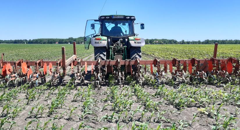 Agroinform: indul a szezon, egyre több mezőgazdasági gép lesz az utakon
