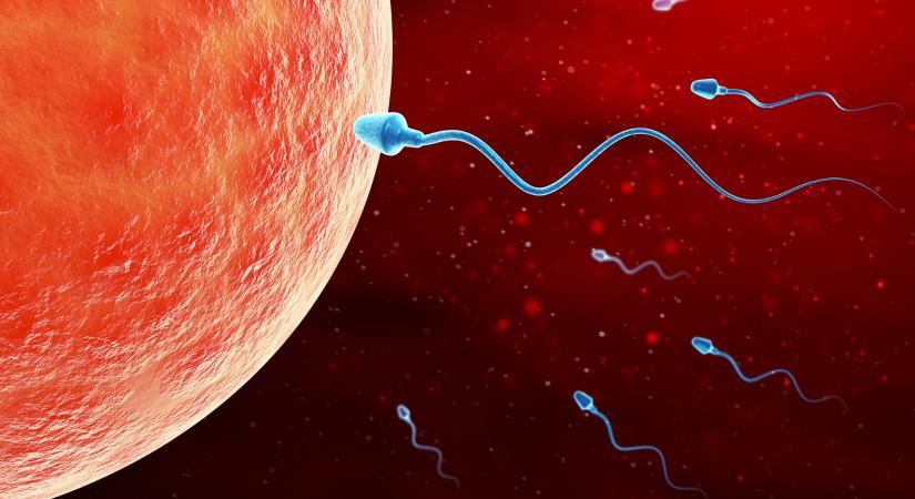 Hihetelen, mégis igaz: spermabank készül a Holdon