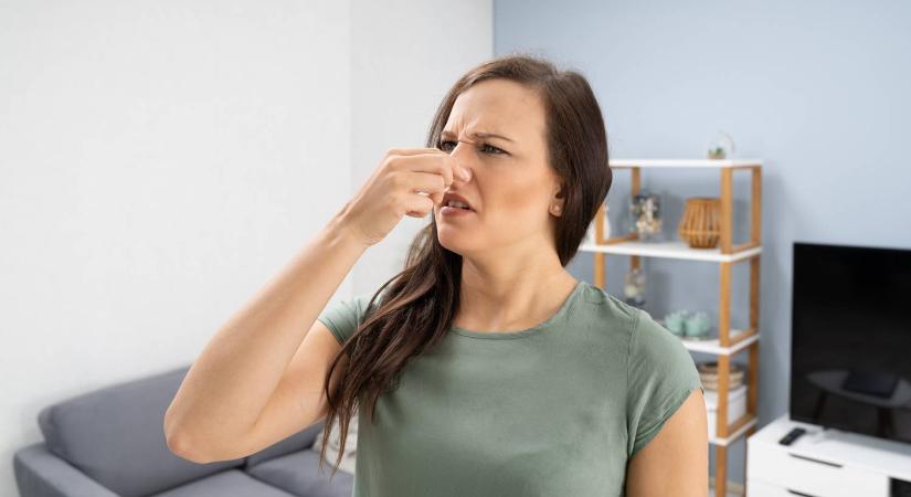 10 házi praktika, amivel elűzheted a kellemetlen szagokat