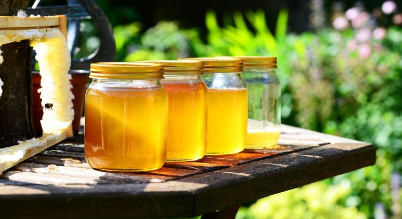 A méz igazi csoda: finom és az immunrendszert is erősíti - videó