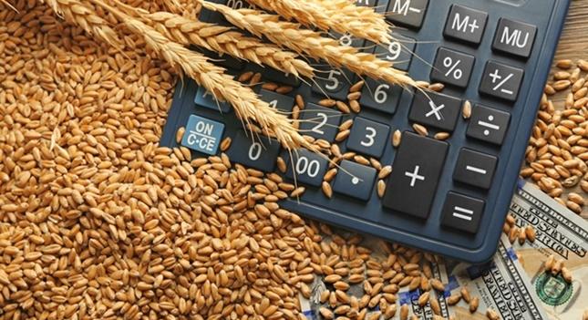 Nyomás alatt a gabonapiac – a bizonytalanság felfelé hajtja az árakat