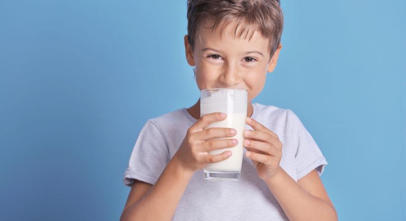 Tej Terméktanács: vitathatatlan a tejtermékek szerepe az egészséges táplálkozásban
