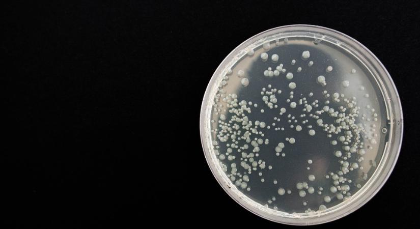 Ismeretlen baktériumokat fedeztek fel a Nemzetközi Űrállomáson