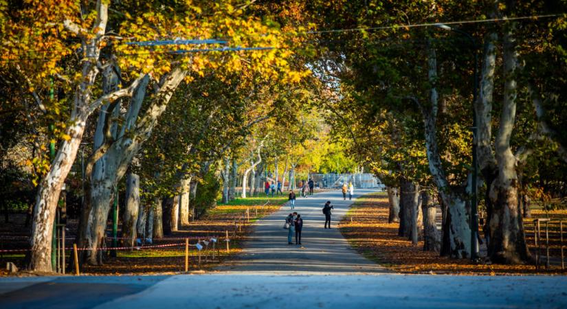 Liget Budapest: egy éven belül kétszáz fát ültetnek a Városligetben, de a park területének jókora része is megújul majd