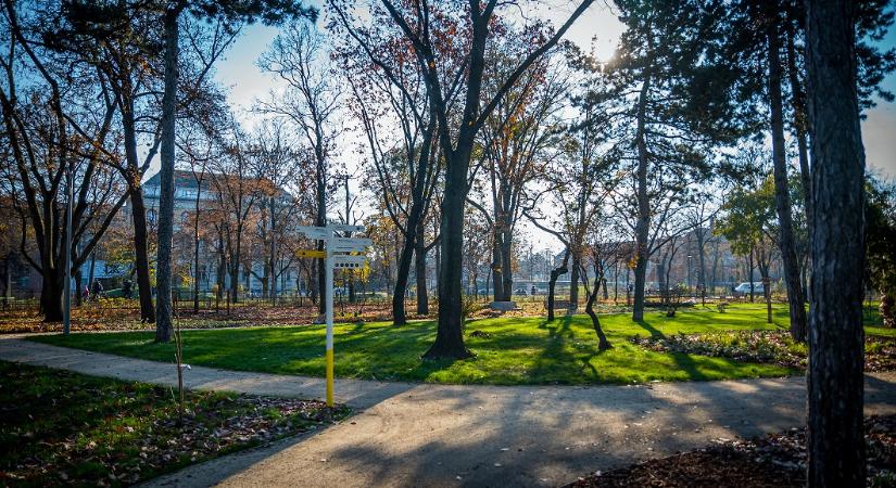 Csaknem 80 ezer négyzetméternyi parkfelület újul meg a Városligetben