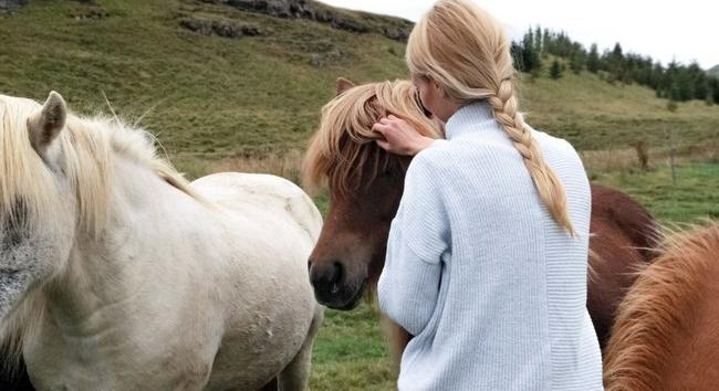 Jobban érthetik a lovak, ha úgy beszélnek hozzájuk, mint a kisgyerekekhez