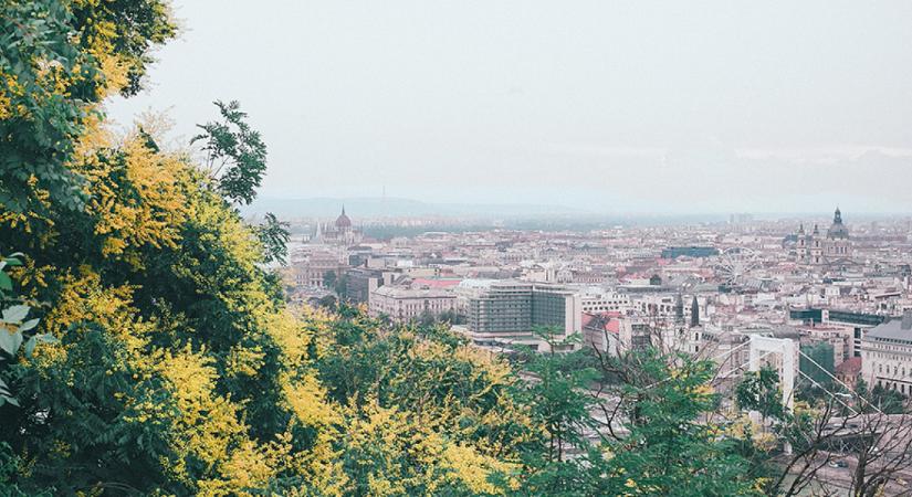 Jön a tavasz, sétára fel! Tuti hétvégi programötlet Budapest szerelmeseinek