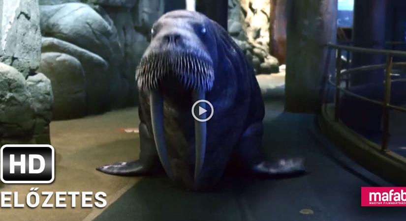 Rozmár, polip és tengeri csillag (!) vérszomjas zombiként! Itt az Aquarium of the Dead előzetese