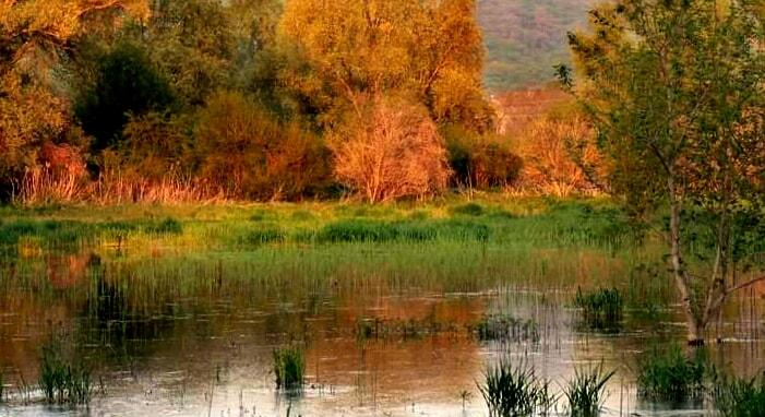 Újraélesztenék a kiszáradt Nádas-tót Budakeszin