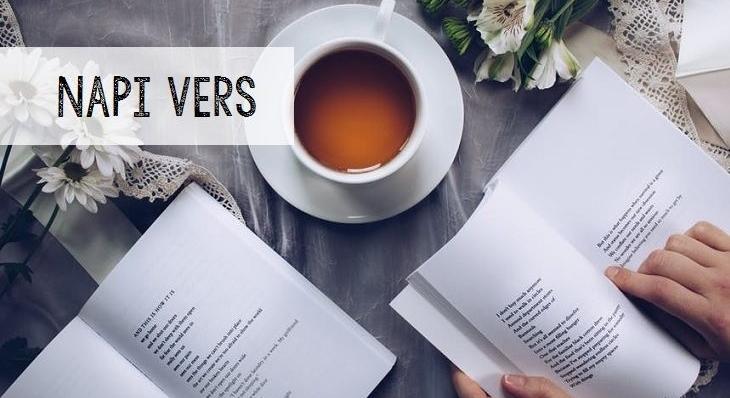 Napi vers