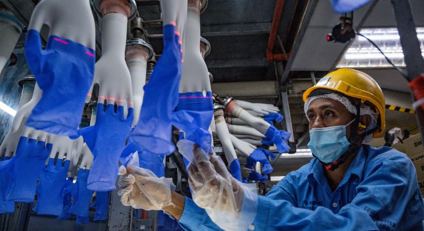Kényszermunkával dolgoztathatnak a világ legnagyobb gumikesztyűgyárában
