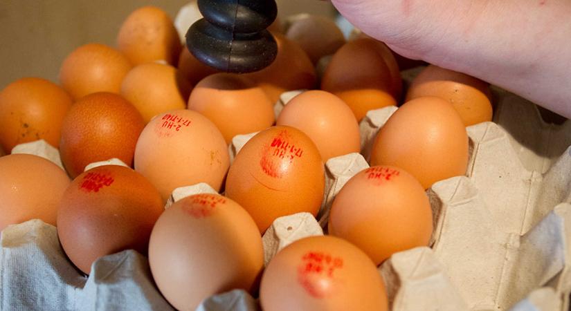 A tojások titkos jelölése - Hasznos infók, nemcsak húsvétra