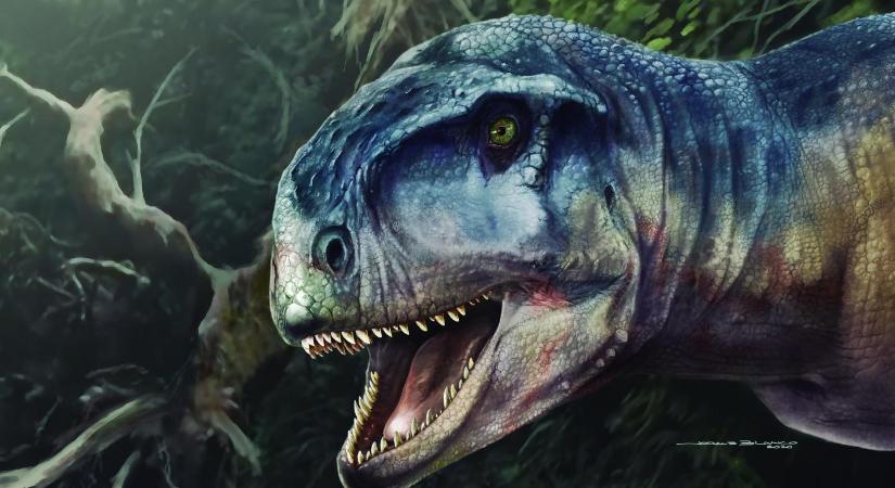 Egy 85 millió éve élt dinoszaurusz koponyáját tárták fel Patagóniában