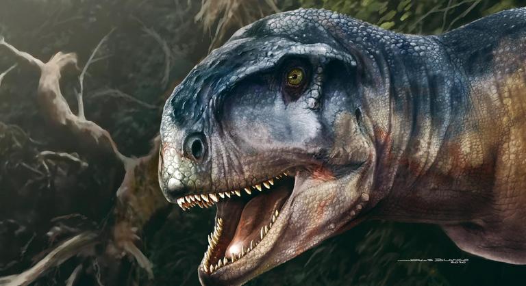 85 millió éves dinókoponyát találtak Patagóniában