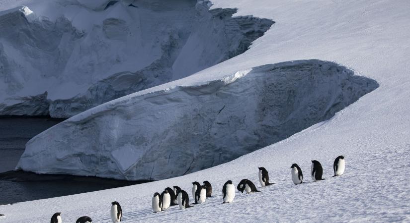 Megrendítő: nem érintetlen földrész többé az Antarktika