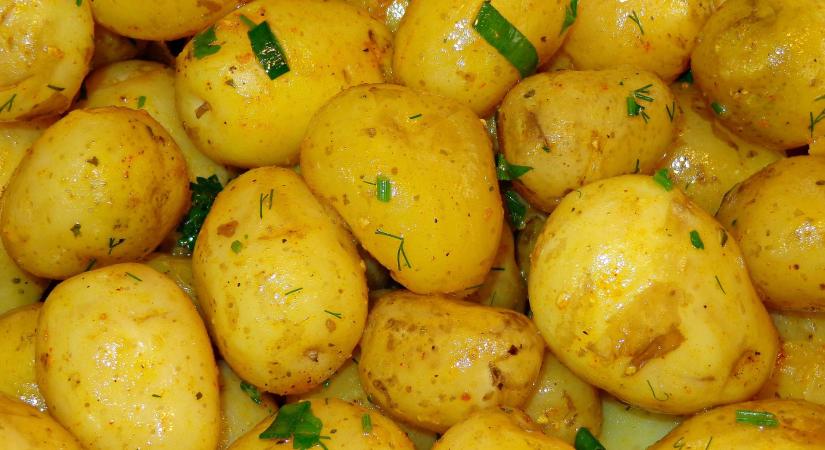Újkrumpli-diéta: legjobb fogyókúra, ha nem tud csak salátán élni!