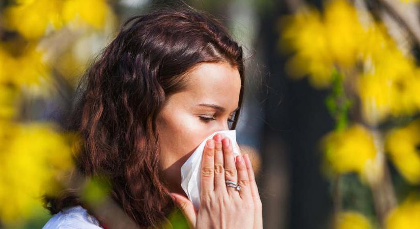 Megyénkben is okozhat allergiás tüneteket a nyírfa pollenje