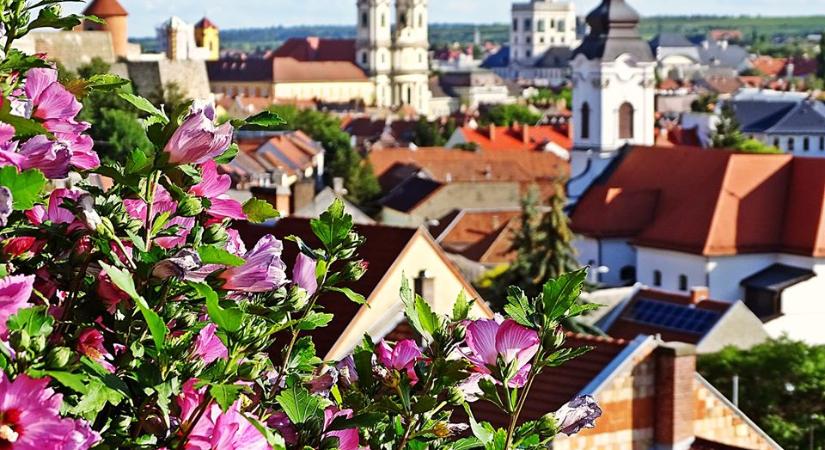 Az egyik legszebb magyar város – virágba borult Eger belvárosa