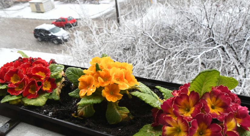 Nem áprilisi tréfa: az ország több pontján is havazásra ébredtek - Fotók