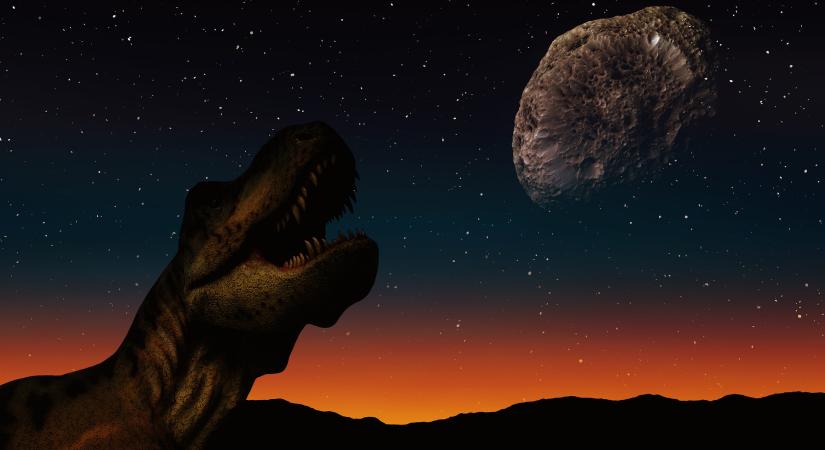 Az esőerdőkre is óriási hatással volt a dinoszauruszokat elpusztító aszteroida