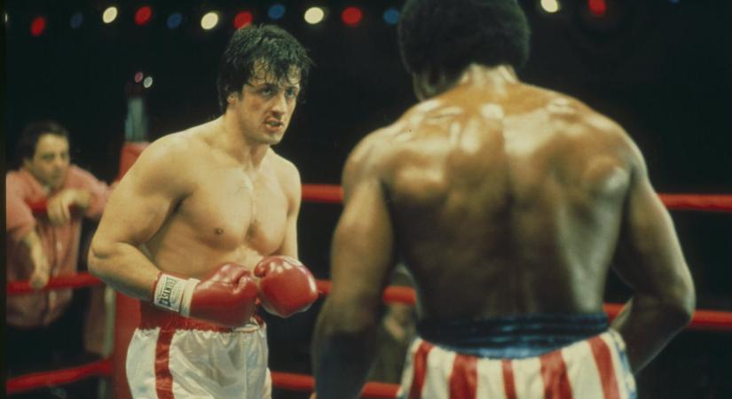 Őrület, Stallone újabb Rockyt akar