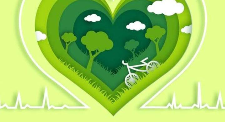 én szív zöld egészség)